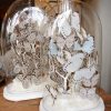 GLOBES DE COLLECTION PAR LUDOVIC MINET – Image 3
