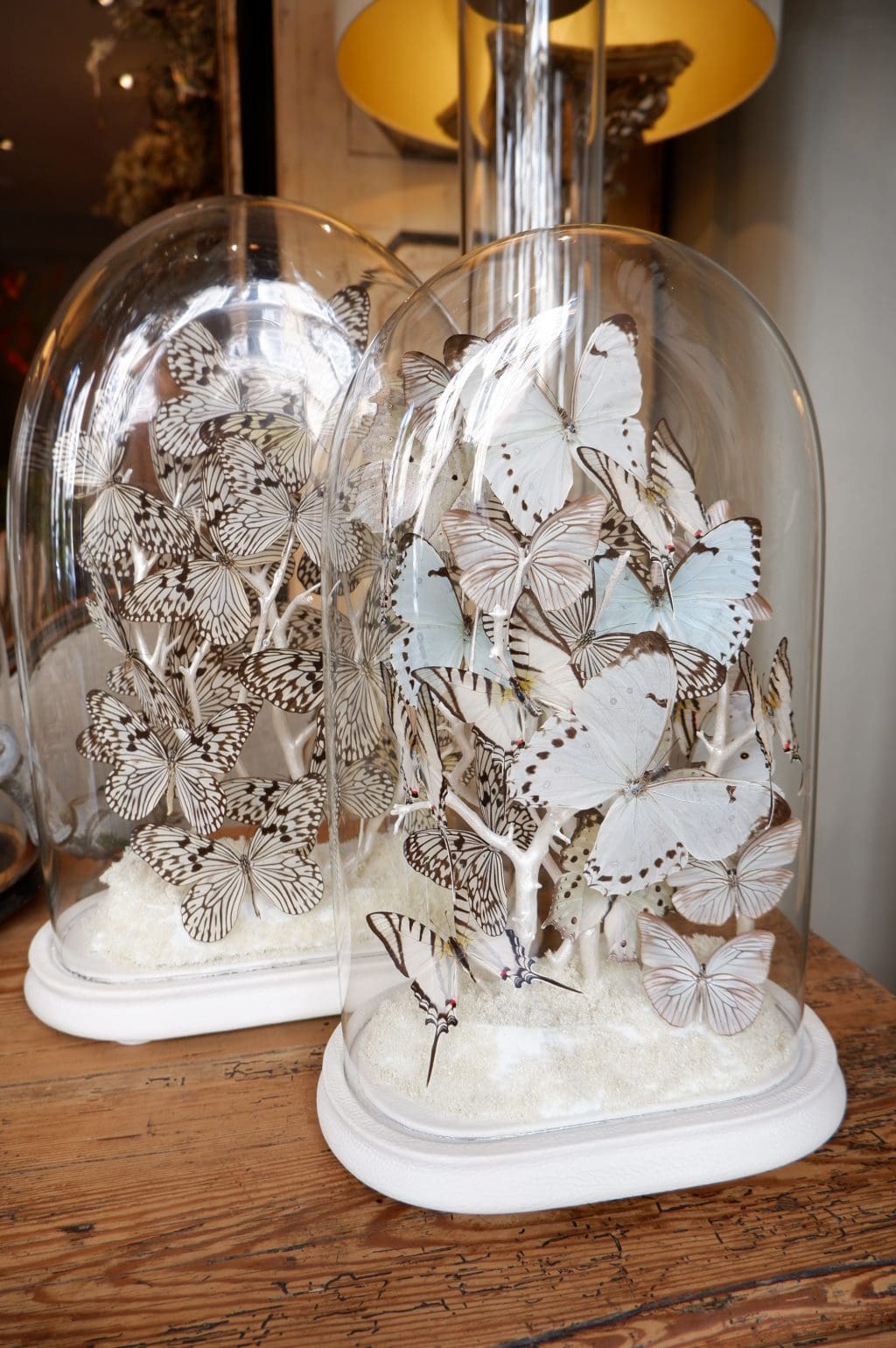 GLOBES DE COLLECTION PAR LUDOVIC MINET – Image 3