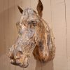 TETE DE CHEVAL EN ZINC CA.1880