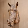 TETE DE CHEVAL EN ZINC CA.1880 – Image 3