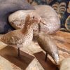 COLLECTION D'OISEAUX "LEURES" SUR SOCLES – Image 5