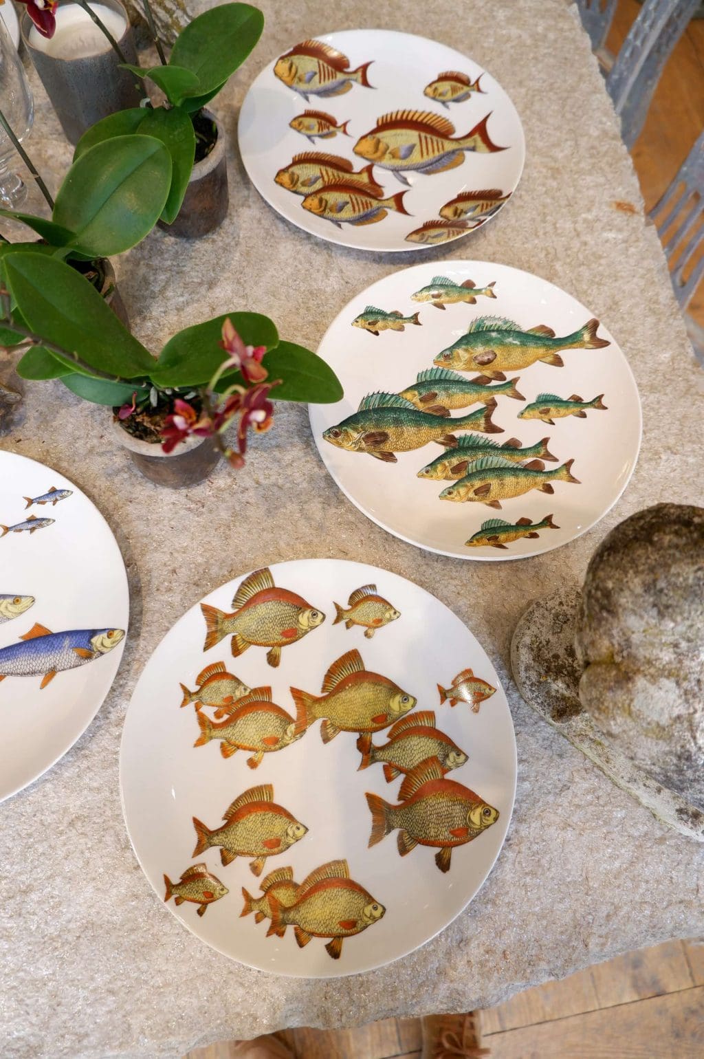 Série de 6 assiettes PESCI en porcelaine "PAR PIERO FORNASETTI" CA.1955