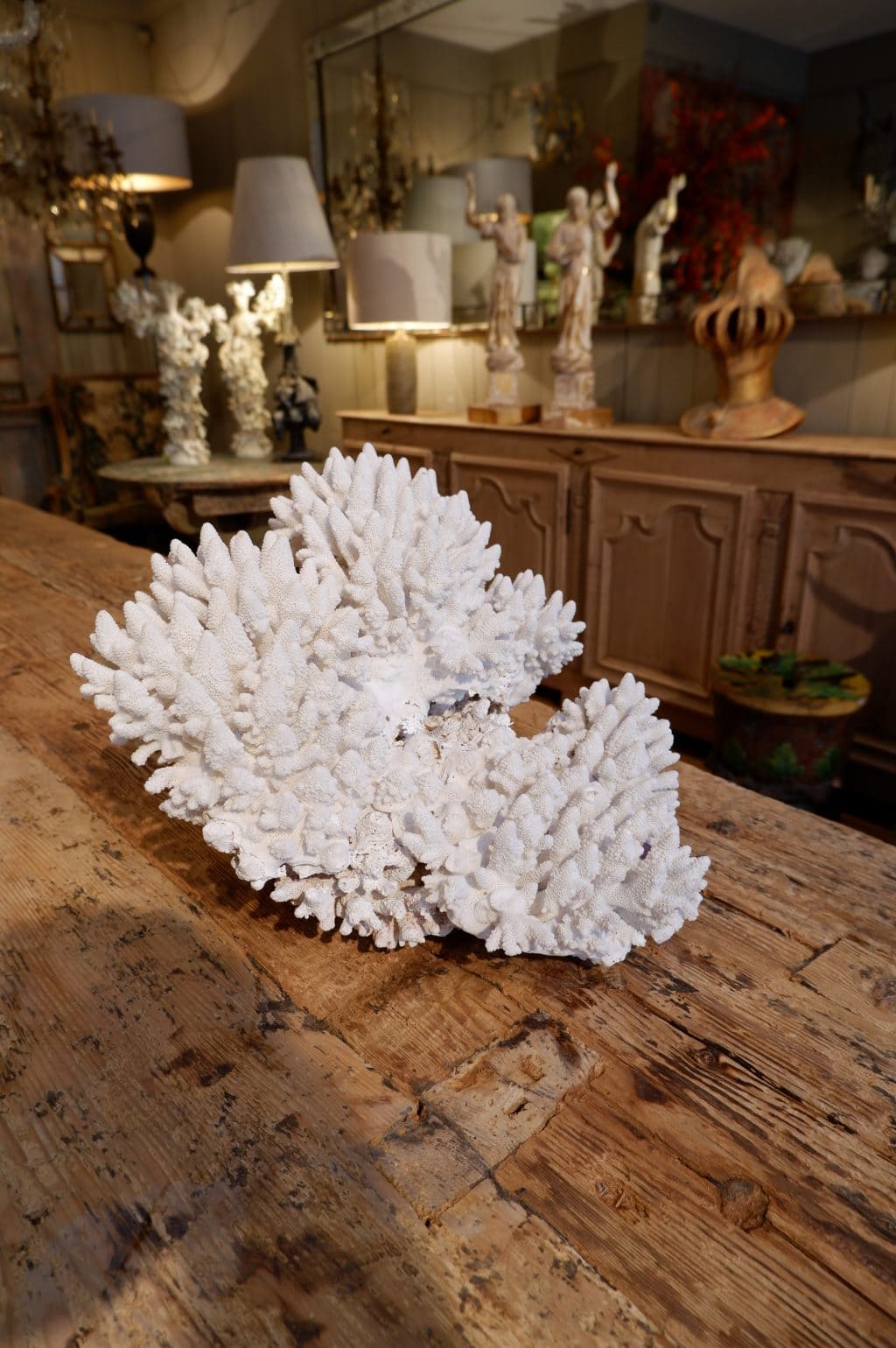 Grande pièce de corail blanc ancien ca.1900