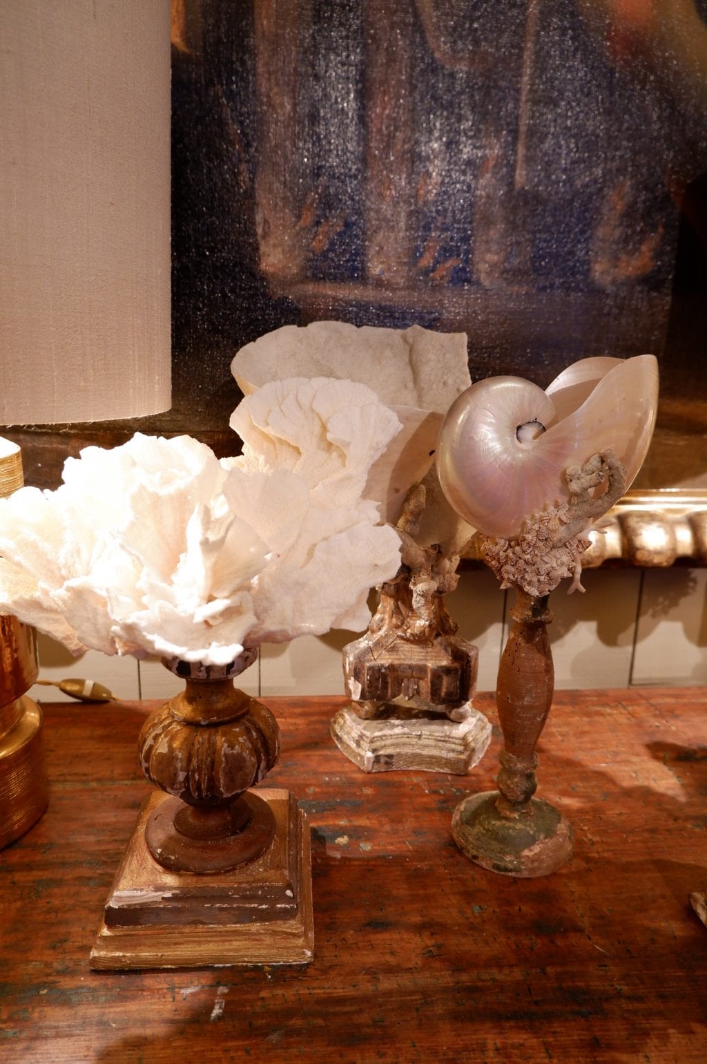 COMPOSITIONS DE CORAIL & COQUILLAGES SUR SOCLES ANCIENS