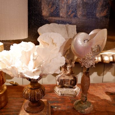 COMPOSITIONS DE CORAIL & COQUILLAGES SUR SOCLES ANCIENS