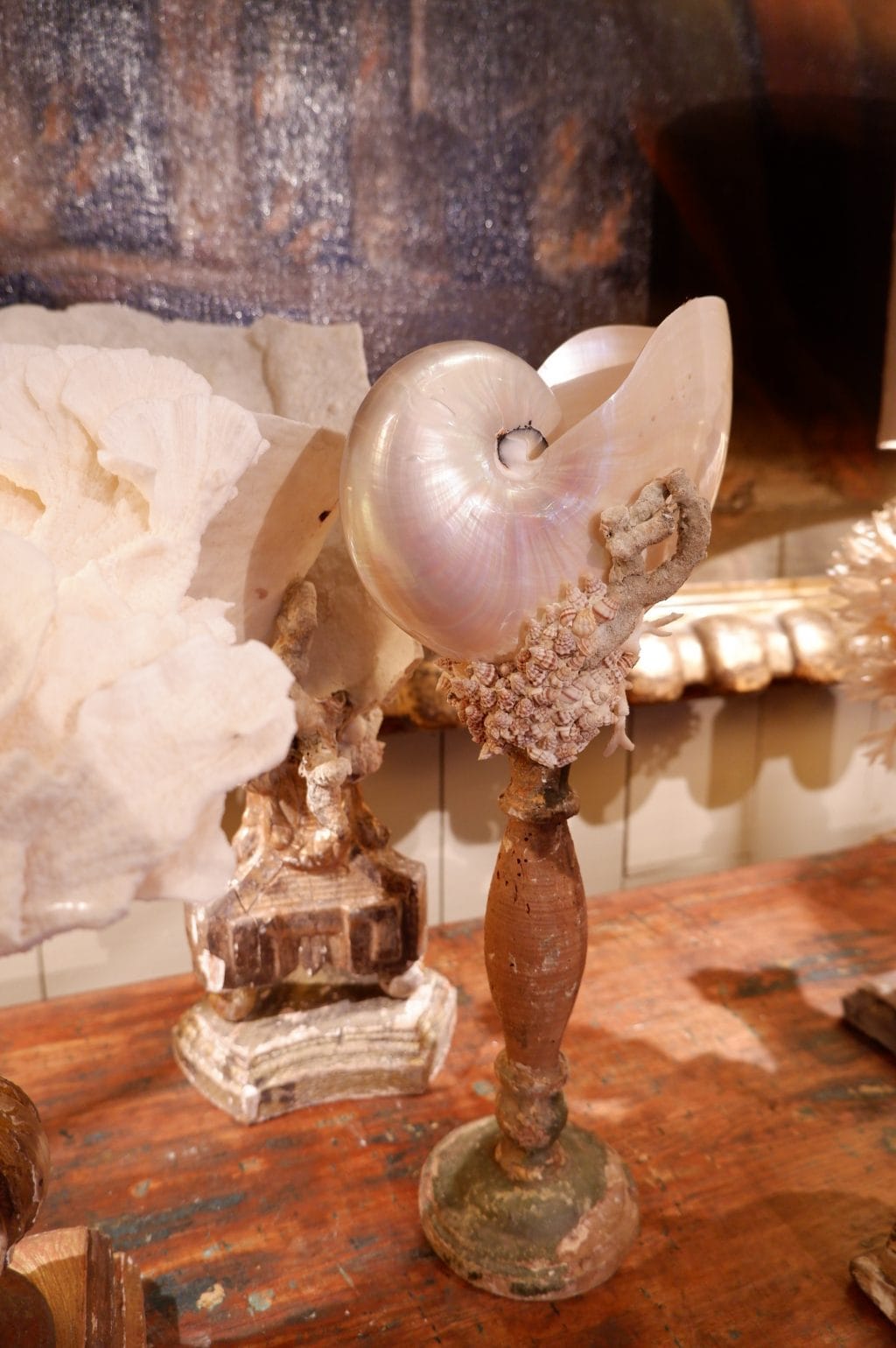 COMPOSITIONS DE CORAIL & COQUILLAGES SUR SOCLES ANCIENS – Image 4
