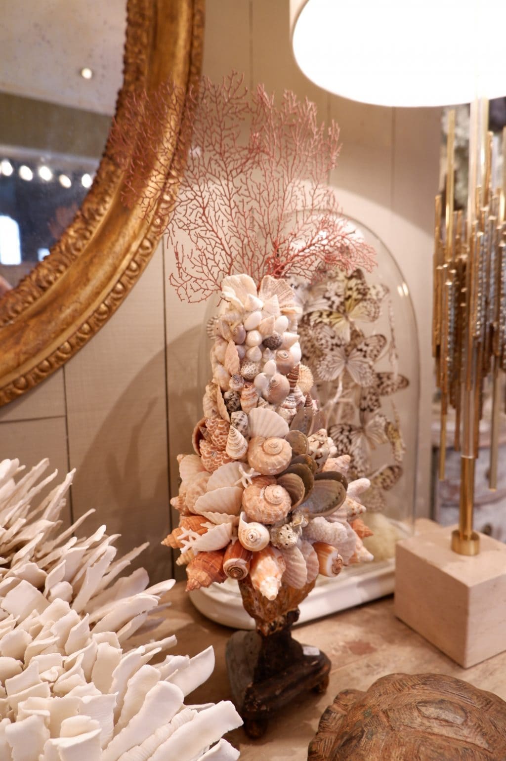 COMPOSITIONS DE CORAIL & COQUILLAGES SUR SOCLES ANCIENS – Image 7
