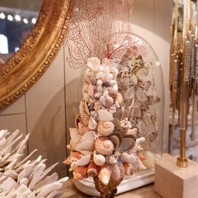 COMPOSITIONS DE CORAIL & COQUILLAGES SUR SOCLES ANCIENS – Image 7