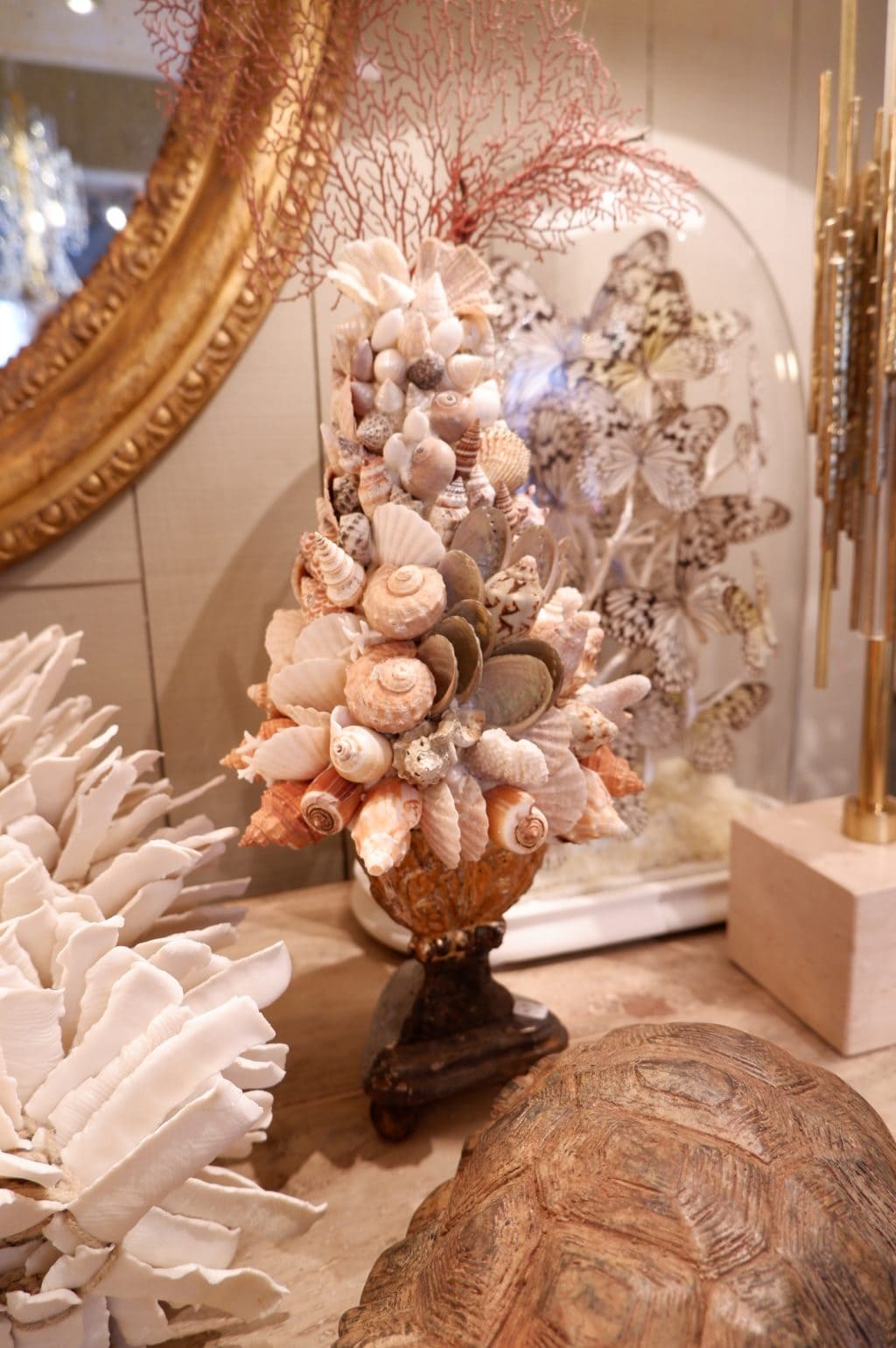 COMPOSITIONS DE CORAIL & COQUILLAGES SUR SOCLES ANCIENS – Image 2