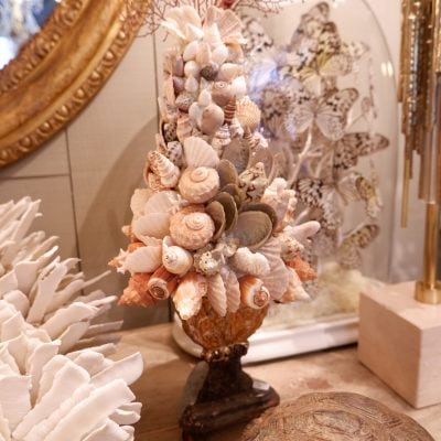 COMPOSITIONS DE CORAIL & COQUILLAGES SUR SOCLES ANCIENS – Image 2