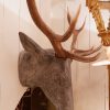 Tête de cerf en fonte d'aluminium et ses vrais bois fin XIXe
