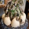 COUPE SUR PIED EN BARBOTINE TROMPE L'ŒIL  "COQUILLAGE AU SERPENT" DANS LE GOUT DE PALISSY – Image 2