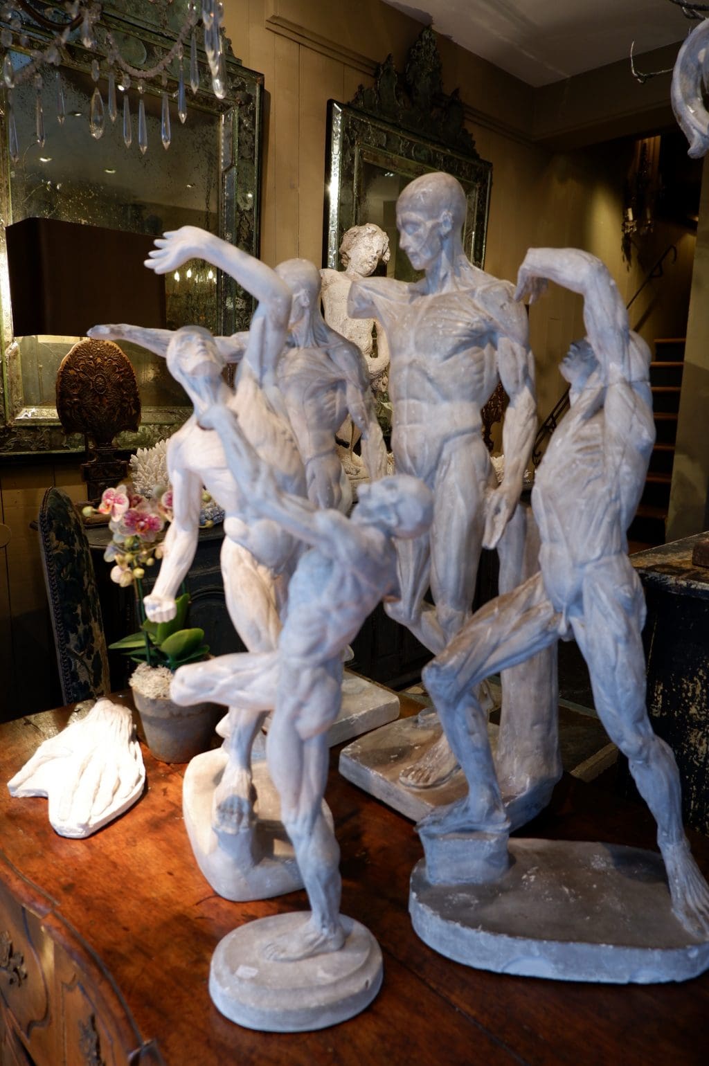 Collection de 2 écorchés en plâtre fin XIXe – Image 4