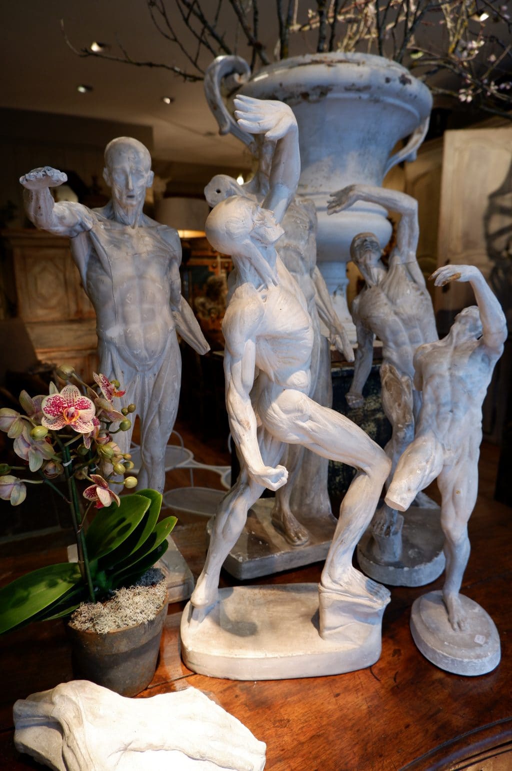 Collection de 2 écorchés en plâtre fin XIXe – Image 2