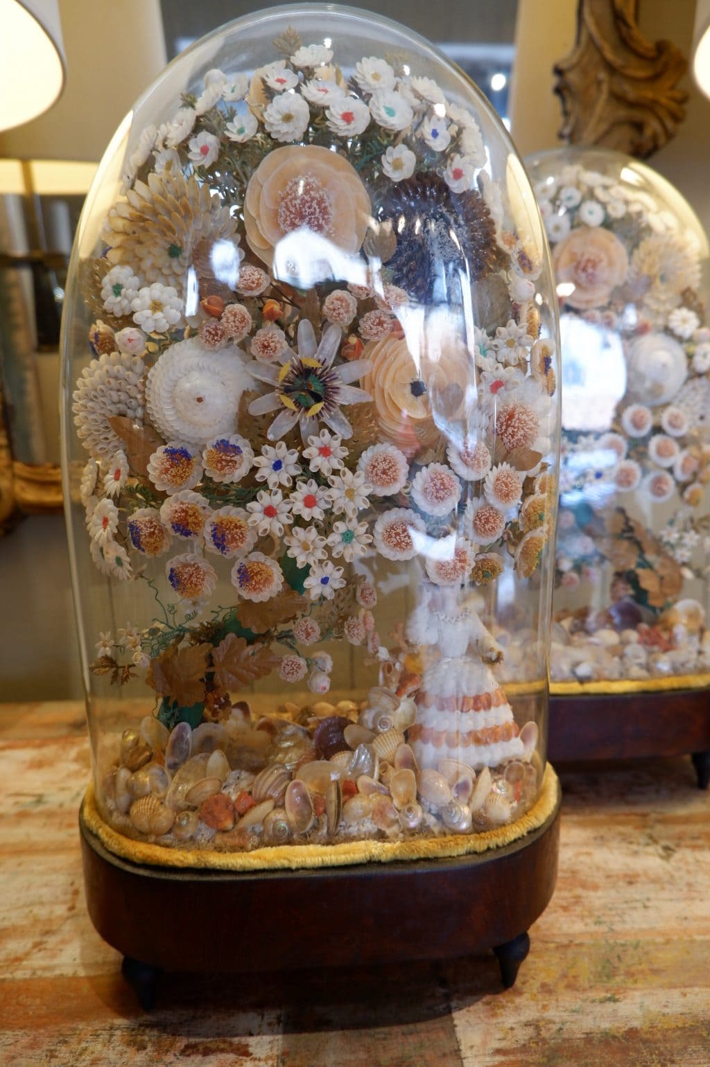 Une paire de globes compositions de coquillages période Victorienne ca.1880 – Image 5