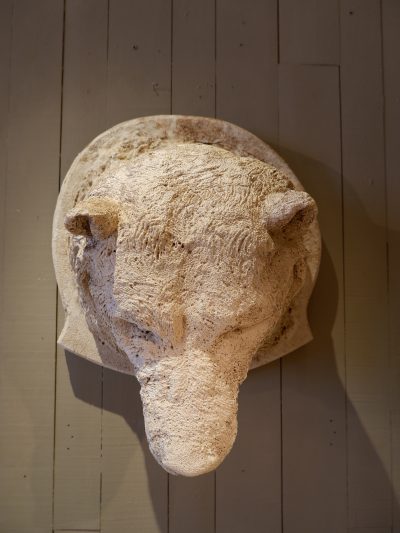 Grande tête d’Ours en plâtre ca.1900