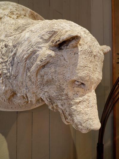 Grande tête d’Ours en plâtre ca.1900