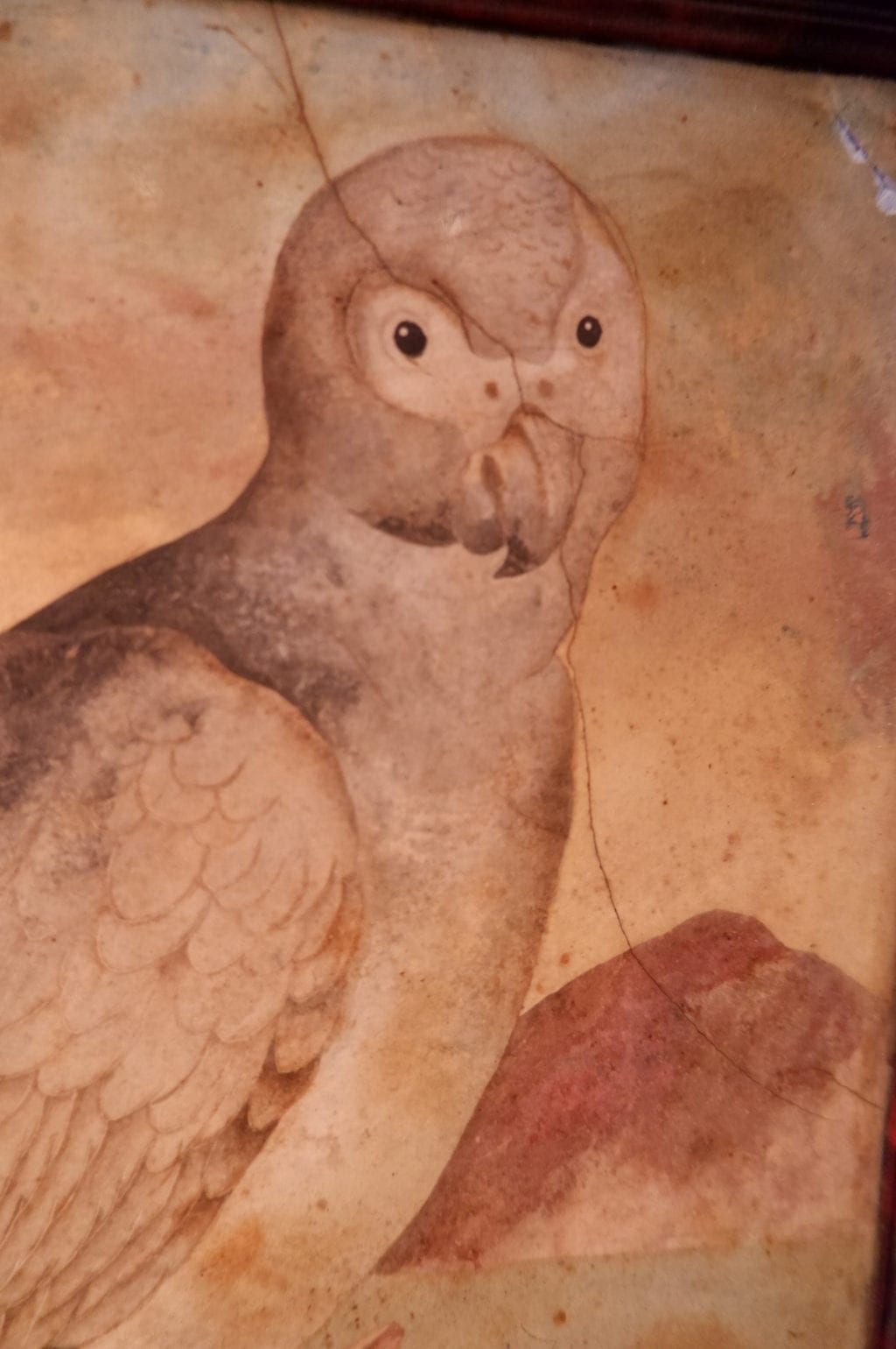 Elégante plaque en scagliole figurant un perroquet - cadre imitation écaille de tortue - Italie XVIIIe