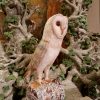 Chouette en papier maché peint - pièce unique
