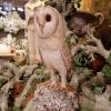 Chouette en papier maché peint - pièce unique – Image 3
