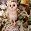 Chouette en papier maché peint - pièce unique – Image 2