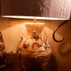 Paire de lampes en céramique "vanneries aux crustacés" + abat-jours soie cylindre – Image 4