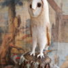 Grande chouette en papier maché