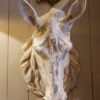 Tête de cheval en zinc fin XIXe – Image 3