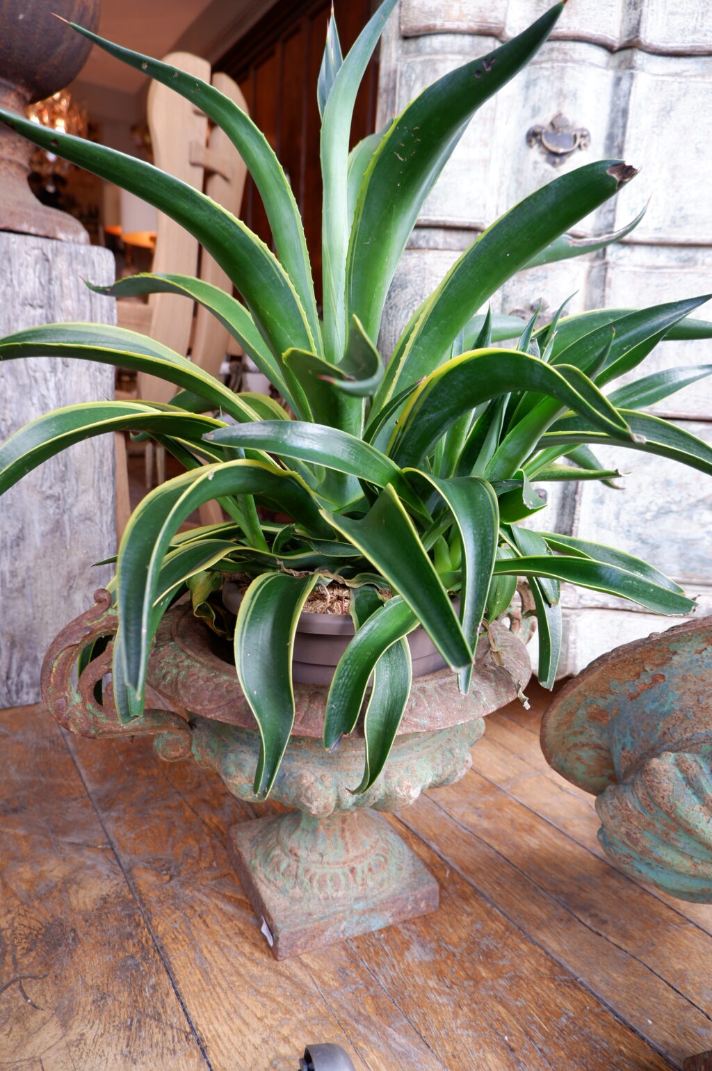 Paire de petits vases en fonte verte XIXe – Image 3