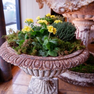 Pair of white cast iron basins with gadroons on high foot ca.1850