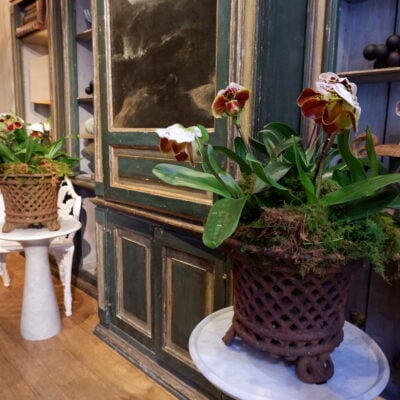 Pair of cast iron planters - 19th century