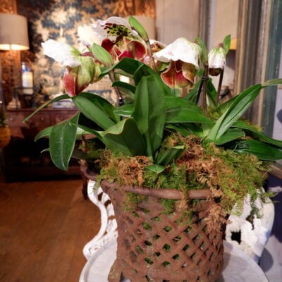 Pair of cast iron planters - 19th century