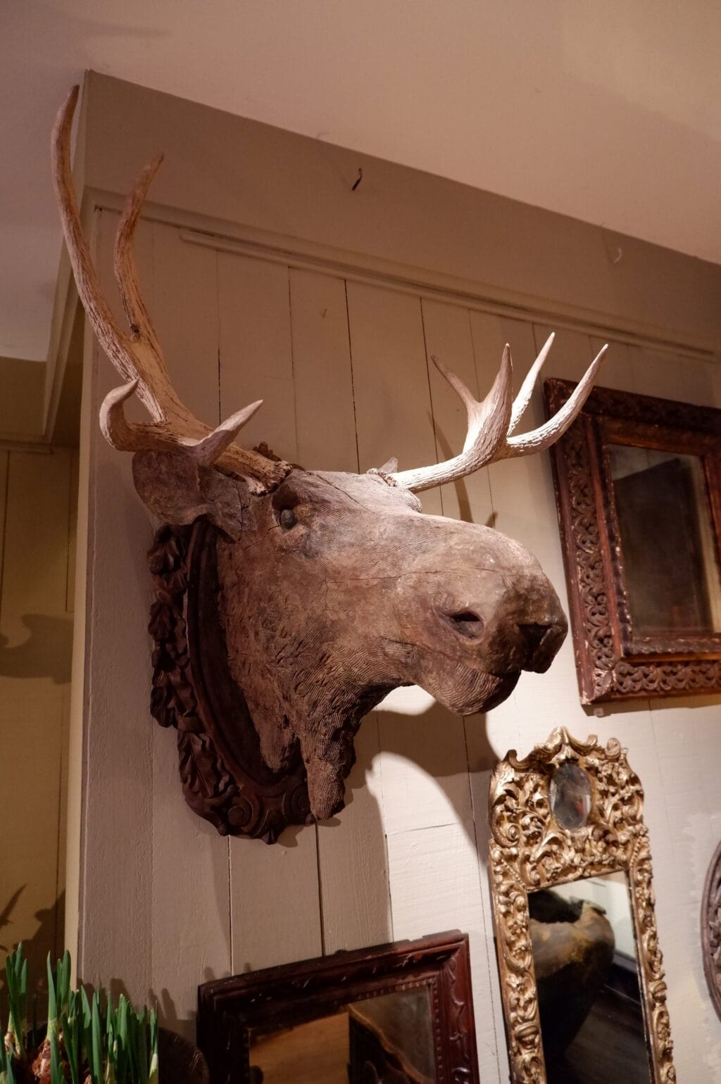 Tête d'élan en bois sculpté avec de vraies cornes ca.1800 – Image 2