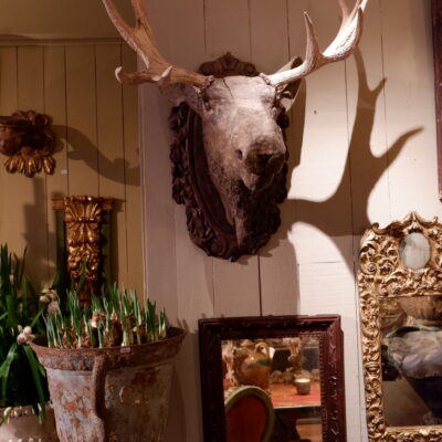 Carved wooden elk head with real horns ca.1800