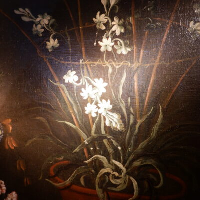 Large oil on canvas "still life flowers & mushrooms" - XVIIIE
