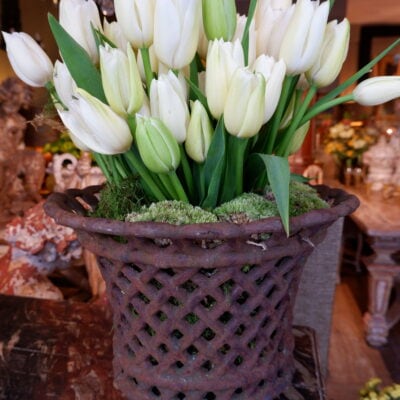 Pair of cast iron planters - 19th century