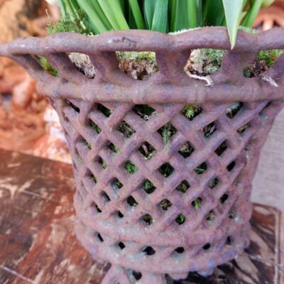 Pair of cast iron planters - 19th century