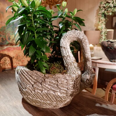 Pair of swans in cement with mossy patina, late 19th century