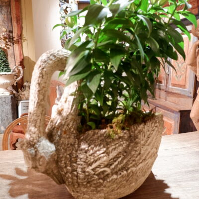 Pair of swans in cement with mossy patina, late 19th century