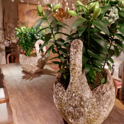 Pair of swans in cement with mossy patina, late 19th century