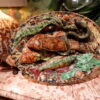 Grand plat en barbotine polychrome figurant poissons, couleuvres insectes -fin XIXe par les suiveurs de Palissy – Image 10