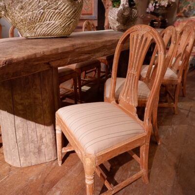 Suite of 8 Gustavian chairs with rounded lyre back & carved wheat sheaf - in light elm ca.1800