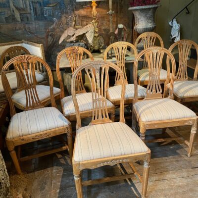 Suite of 8 Gustavian chairs with rounded lyre back & carved wheat sheaf - in light elm ca.1800
