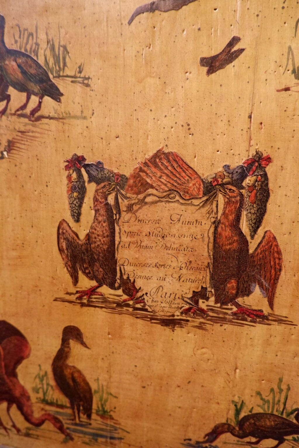 Commode d'époque Louis XVI décor naturaliste d'oiseaux et scènes paysannes en Arte Povera ca.1800 – Image 2