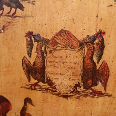 Commode d’époque Louis XVI décor naturaliste d’oiseaux et scènes paysannes en Arte Povera ca.1800