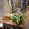 Petit bureau un tiroir en bois peint fin XIXe – Image 3