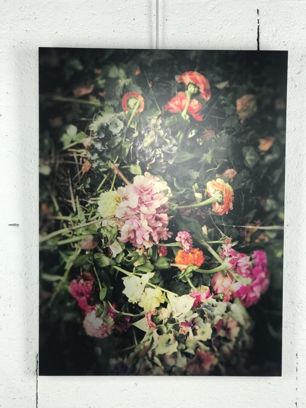 Photo impression sur aluminium par Brigitte Sauvignac « Tout passe si vite… » – Image 2