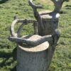 2 fauteuils faux-bois ciment