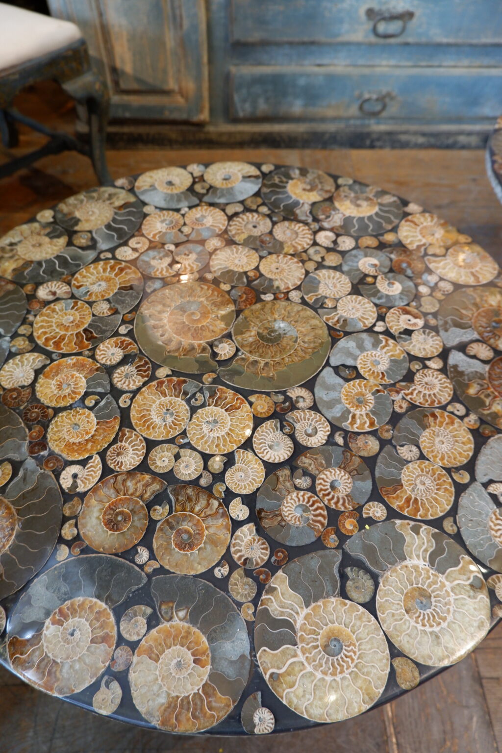 Table basse plateau en ammonites sur base en métal laque noir – Image 6