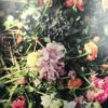 Photo impression sur aluminium par Brigitte Sauvignac « Tout passe si vite… » – Image 3